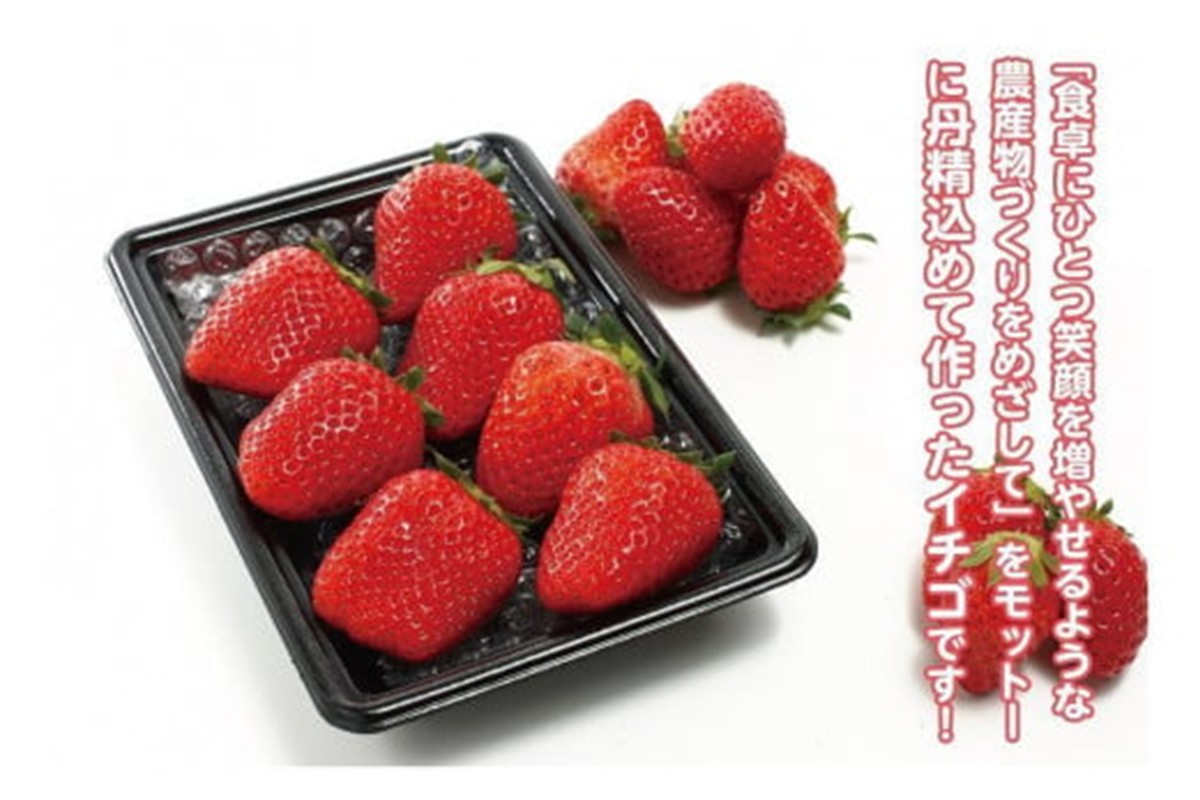 【先行予約／数量限定】京都丹後産 完熟いちご（かおりの） 2パック（2026年3月中旬～発送）　AM00667