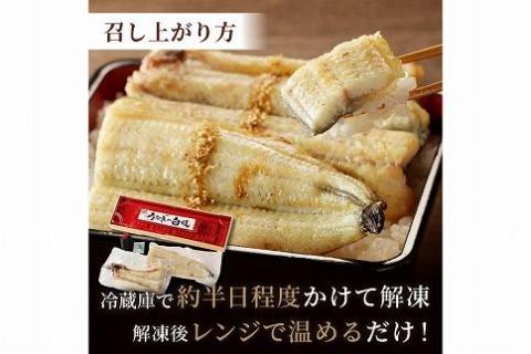 うなぎの白焼き2~3人前(1尾)　AN00094