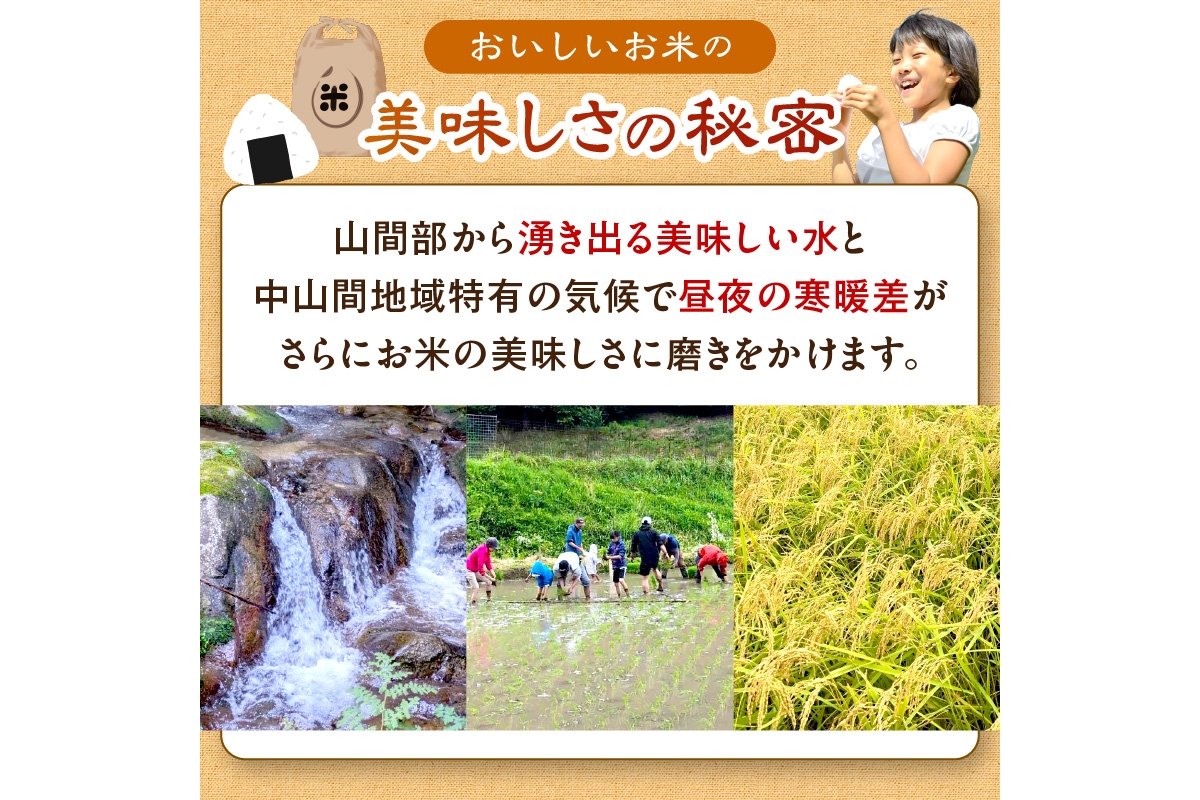 2025年産 京都・久美浜産 特別栽培米コシヒカリ 1.5kg　AL00006