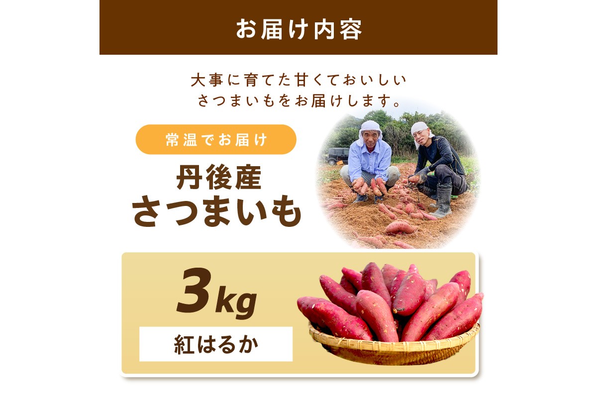 【先行予約】丹後産　さつまいも　紅はるか3kg　2026年2月中旬～配送　AM00666_02