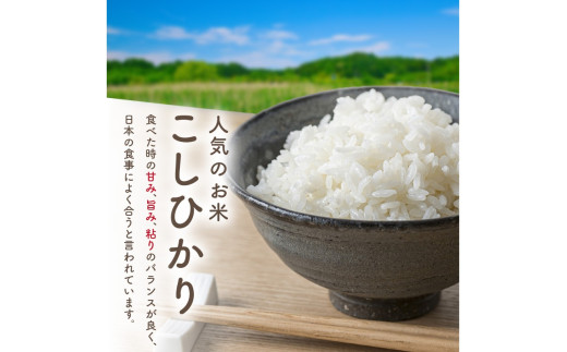 令和7年産　京都・京丹後産コシヒカリ　5㎏（5kg×1袋）　TO00123