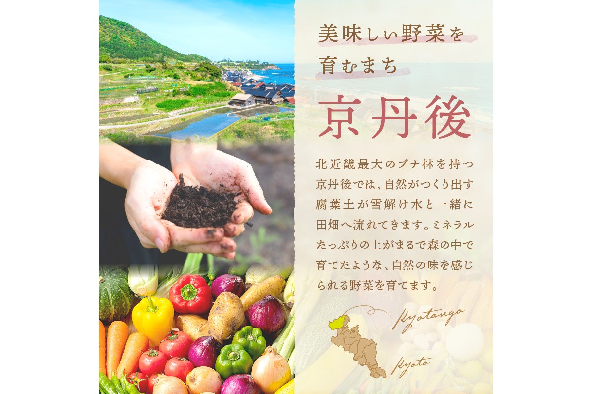 オーガニックファームでのんびり過ごそう！収穫体験&お土産付き(2名様分)　BR00017