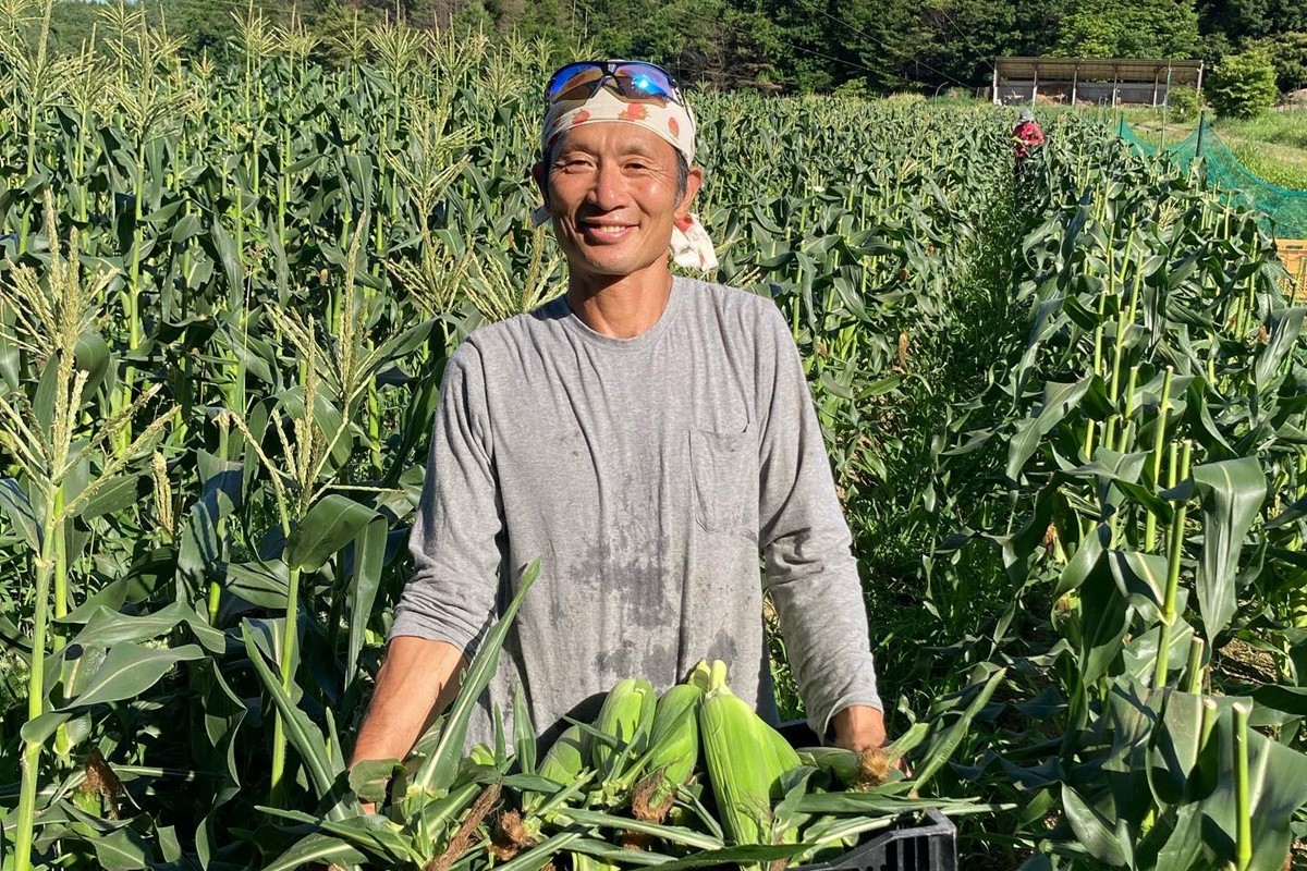 ＜てんとうむしばたけ＞有機とうもろこし5本　有機野菜 甘い 野菜 ふるさと納税 とうもろこし 期間限定 とうもろこしごはん かき揚げ 有機 オーガニック 産地直送 旬野菜 旬 コーン バター ペッパーランチ シャキシャキ 弾ける 丸ごと かぶりつき　BR00029