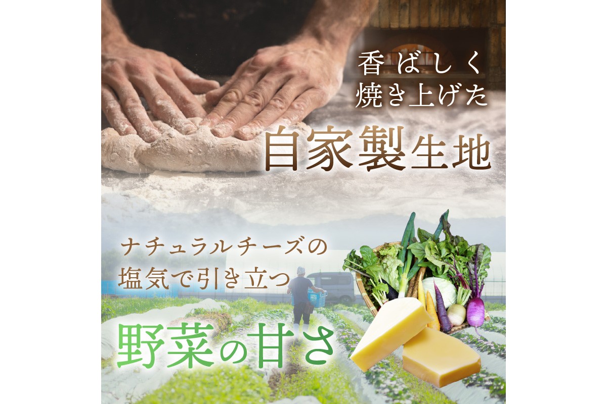 オルトラーナ（オーガニック野菜のピザ） 1枚　BR00031