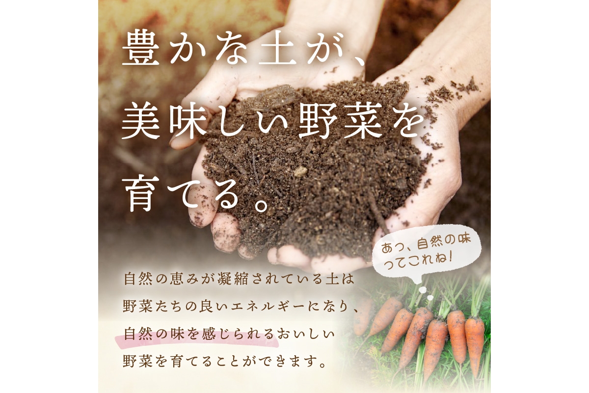 【先行予約：5月配送】＜てんとうむしばたけ＞初夏のオーガニック野菜セット　有機野菜6～7種前後　BR00057_05