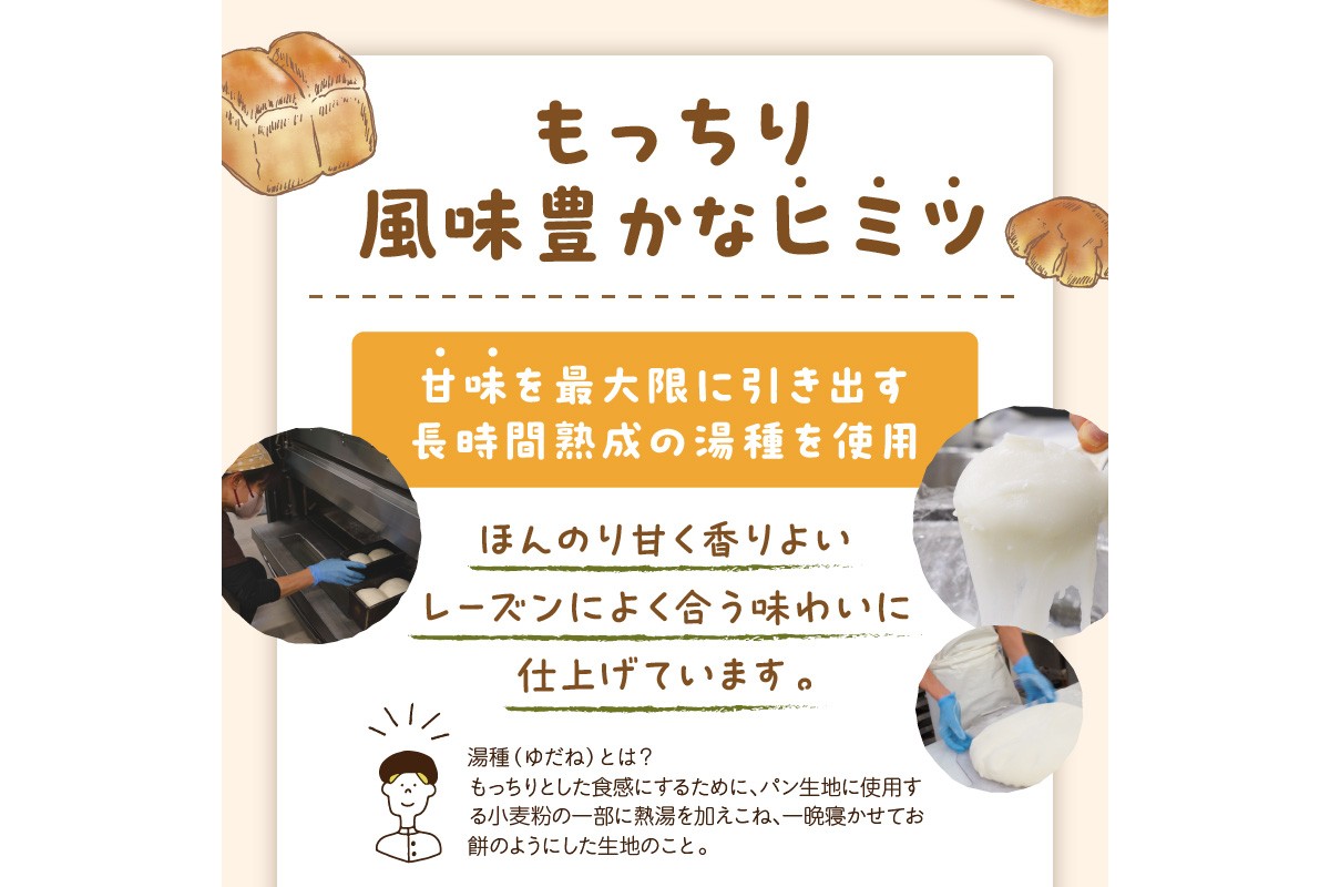 京都丹後　パンドミレーズン　3斤（4枚切り12枚）　BT00019