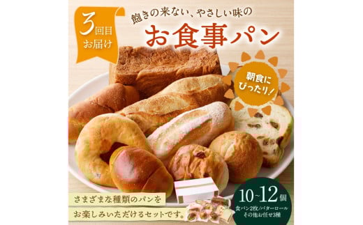 京都 丹後のおまかせ　お楽しみパン3カ月定期便　【訳あり】　BT00021