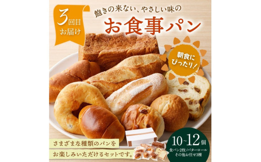 京都 丹後のおまかせ　お楽しみパン５カ月定期便　【訳あり】　BT00022