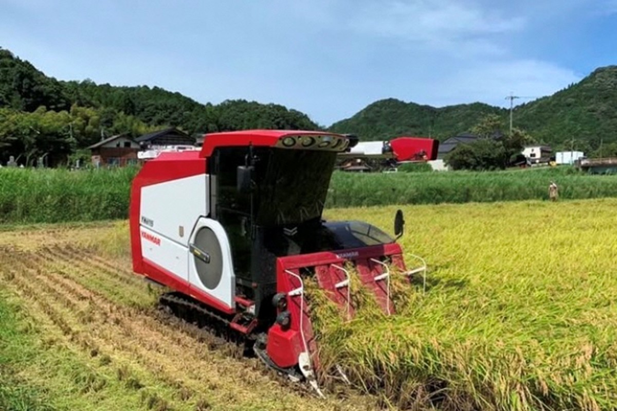 京都・久美浜産 特別栽培米コシヒカリ 3kg（玄米）　BV00001