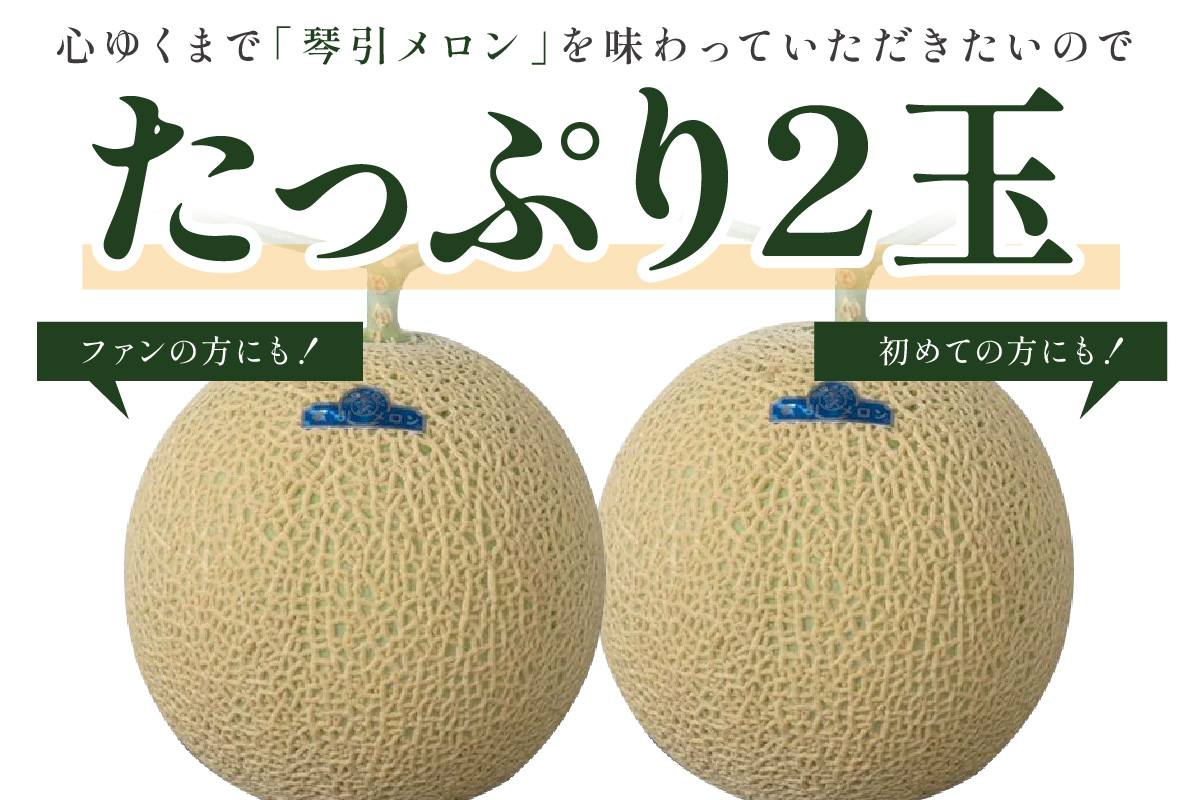 【先行予約／数量限定500】京のブランド産品 京たんごメロン 琴引メロン LAサイズ 2玉（2026年6月下旬～発送）　JK00024