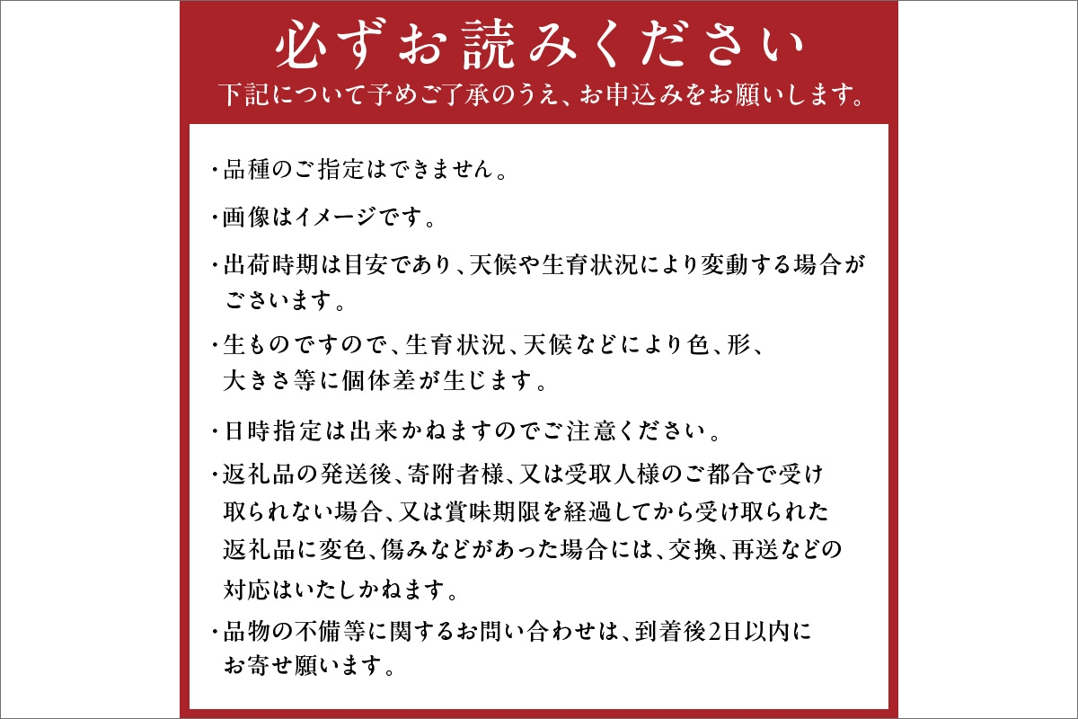 【先行予約】京丹後産 桃 2kg（6～12玉）（2026年7月下旬～発送）　BF00005