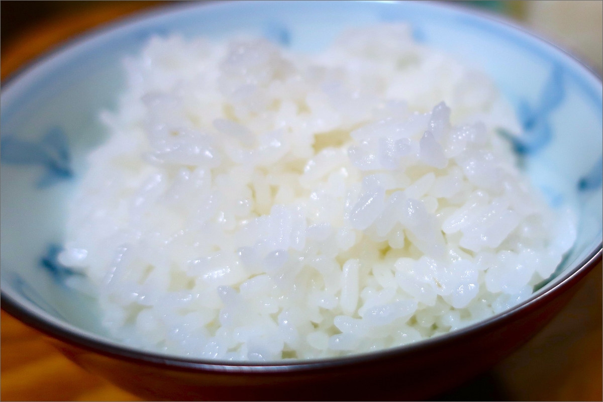 【先行予約】龍谷大学と共同開発／2025年産　京丹後産生物多様性米コシヒカリ「ゲンゴロウ郷の米」10kg箱入　CM00006