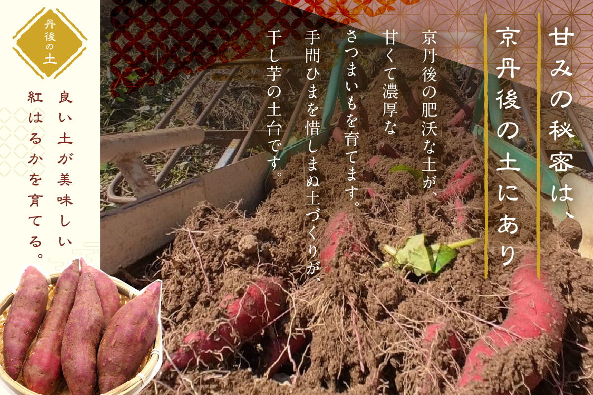 京都・京丹後産干しいも　100g×10セット　干し芋 ホシイモ ほしいも 干芋　SD00002