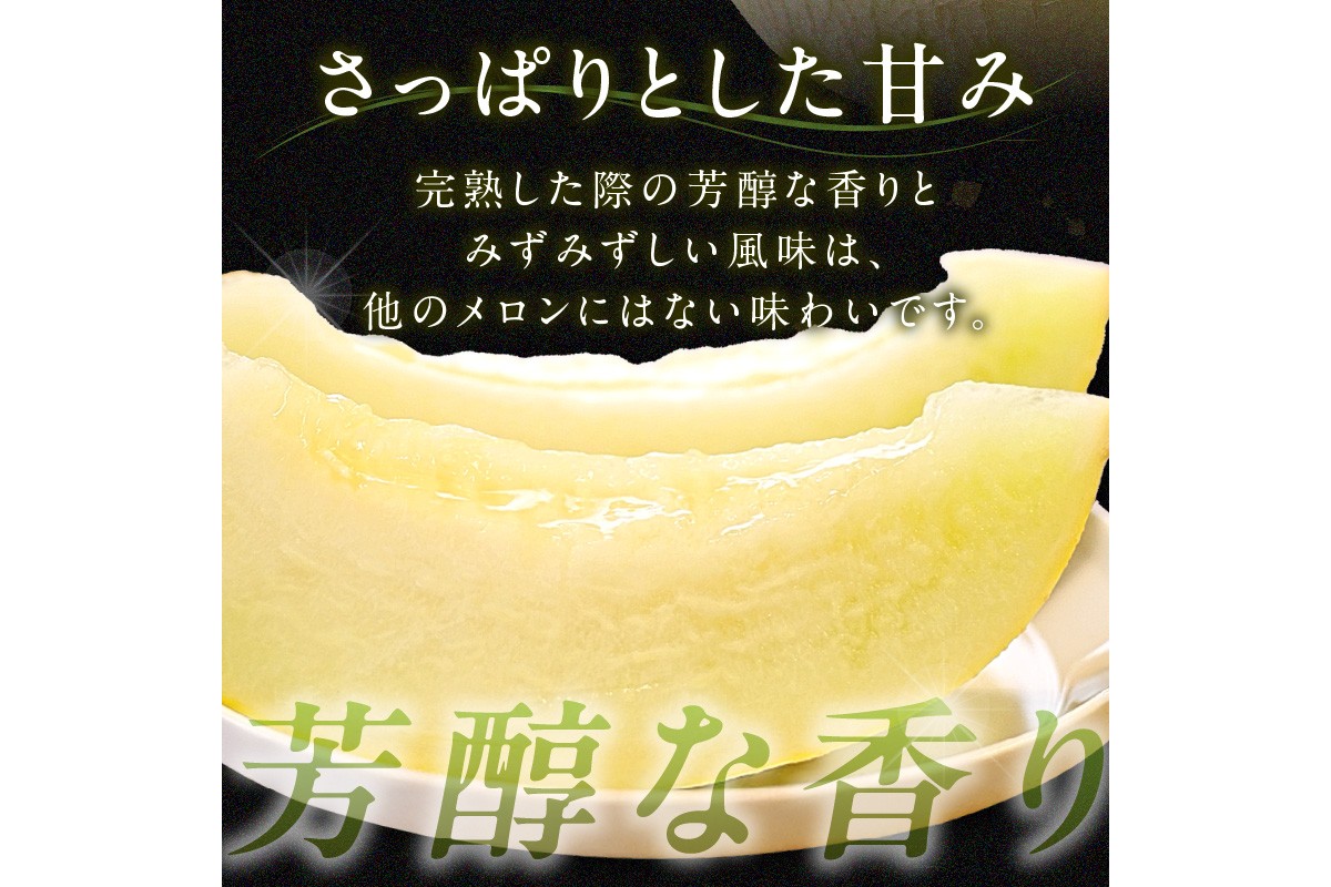 【先行予約／数量限定200】幻のメロン 新芳露 1玉（2026年7月中旬～発送）　DE00152