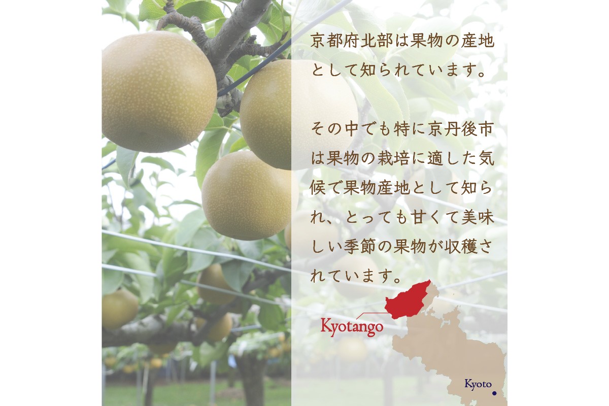 京丹後産　梨　ドライフルーツ　10袋