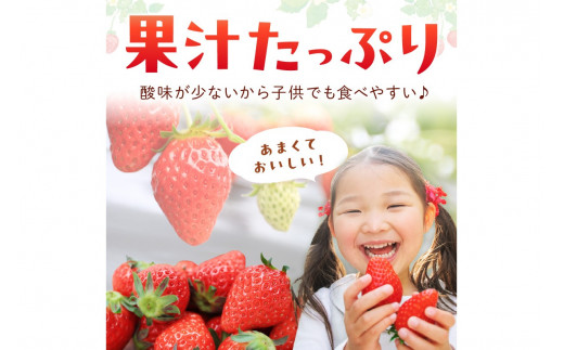 【先行予約／数量限定300】京都・まつみやファームのいちご（あきひめイチゴ）2パック（2026年3月中旬～発送）　DE00137