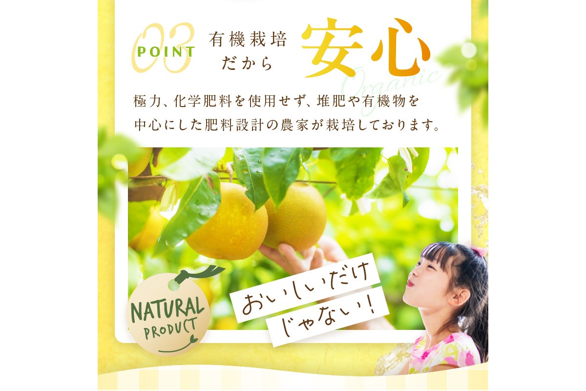 【先行予約／数量限定300】京丹後産 あきづき梨 5kg（8～12玉）（2026年9月中旬～発送）　DE00161