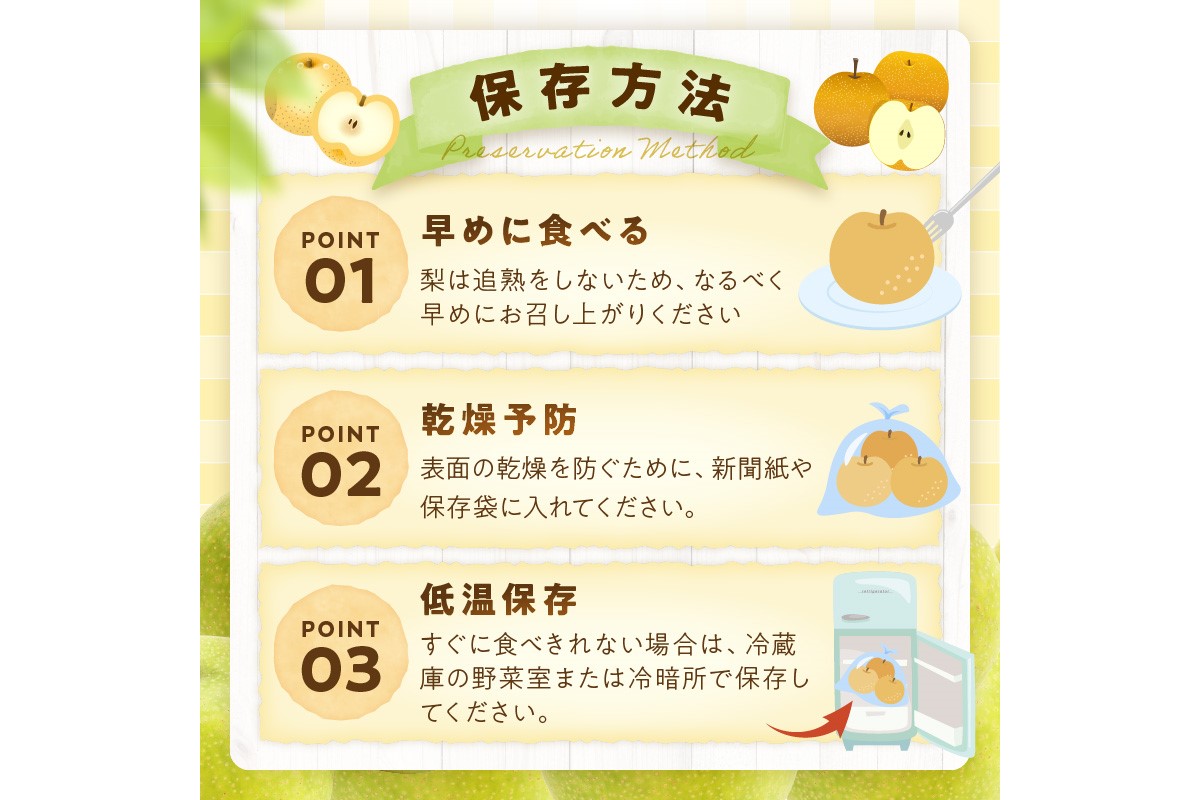 【先行予約／数量限定600】20世紀梨（秀品） 5kg（10～16玉）（2026年8月下旬～発送）　DE00163