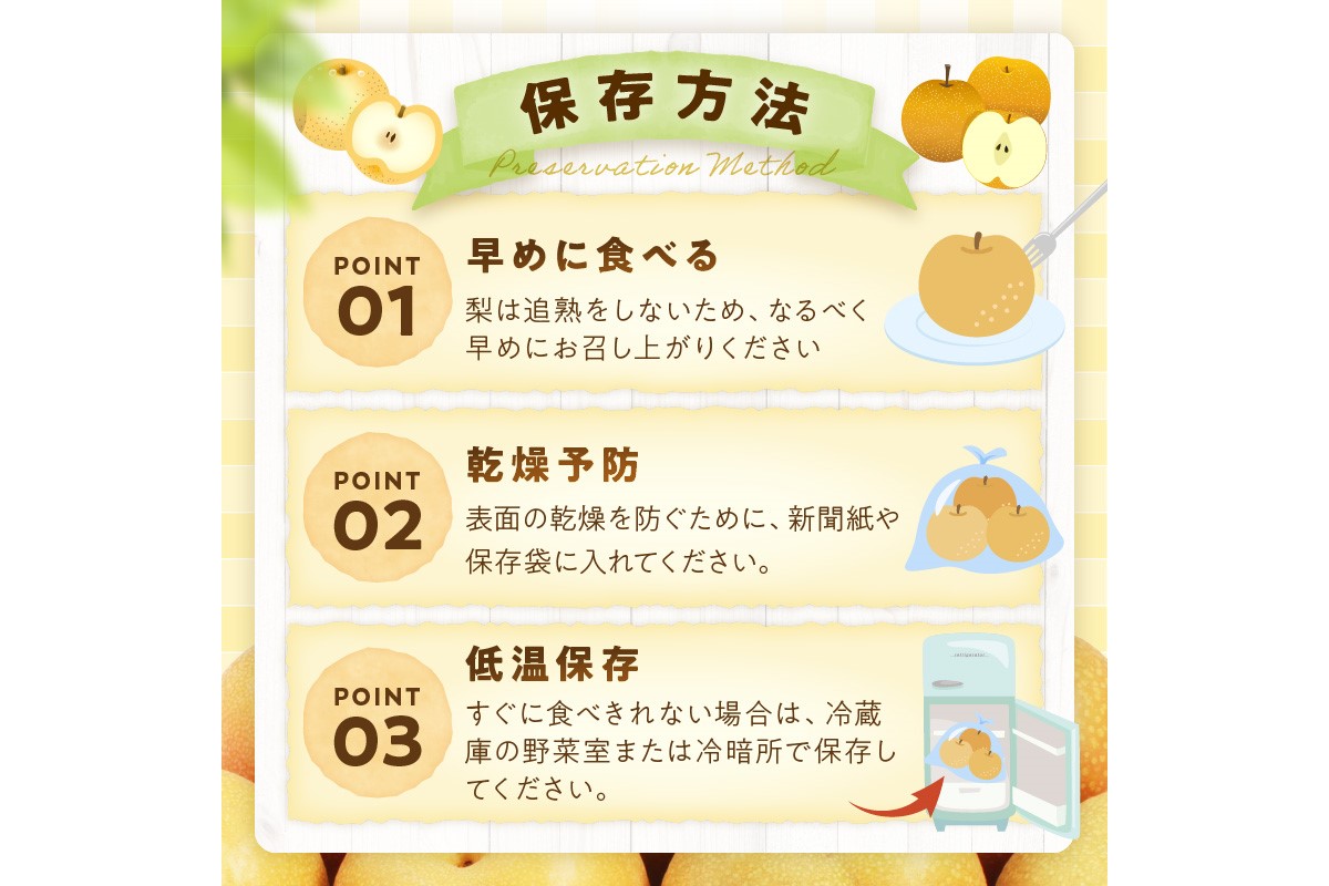 【先行予約／数量限定500】新興梨（秀品） 5kg（7～12玉）（2026年9月下旬～発送）　DE00164