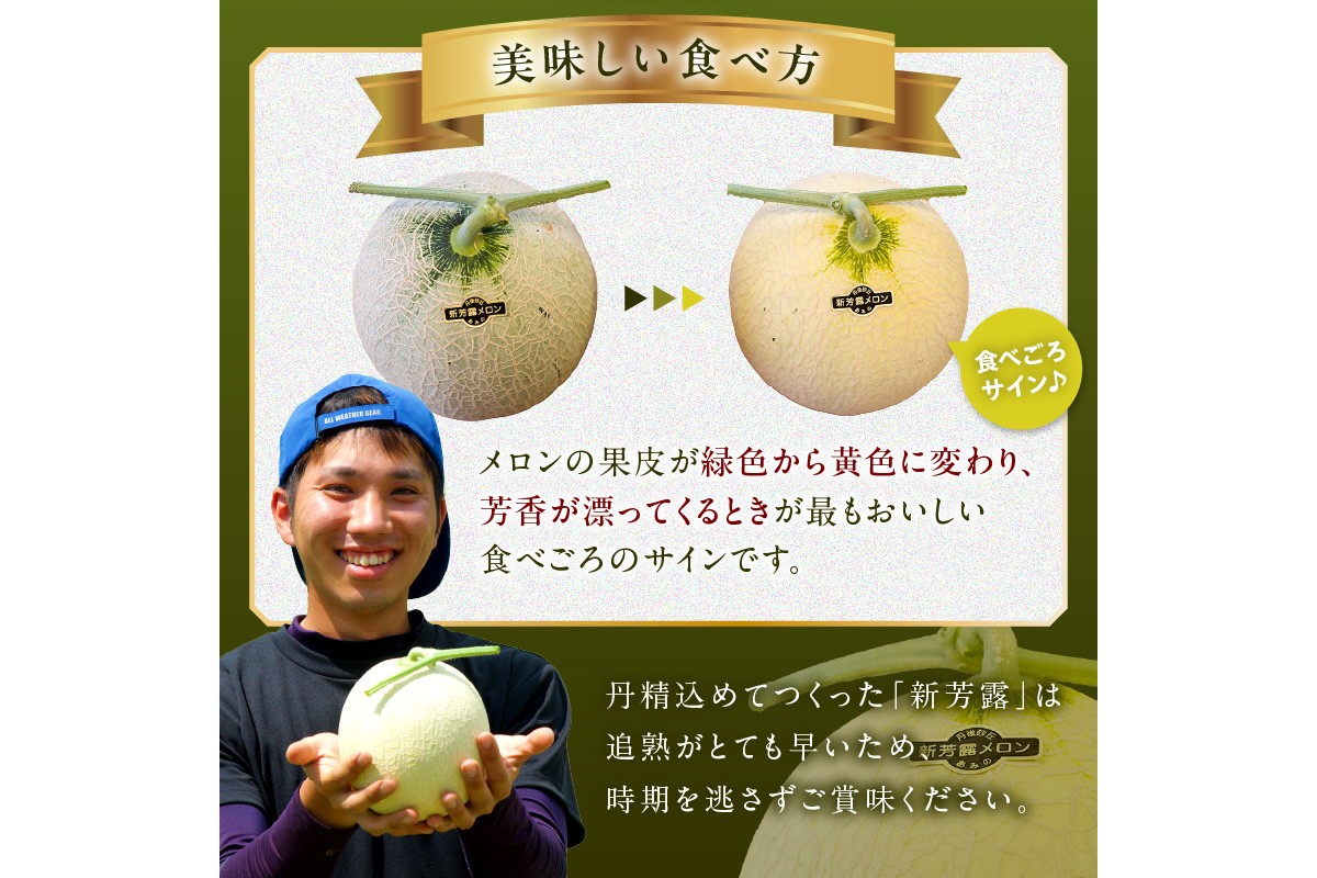 【先行予約／数量限定200】幻のメロン 新芳露 2玉（2026年7月中旬～発送）　DE00165