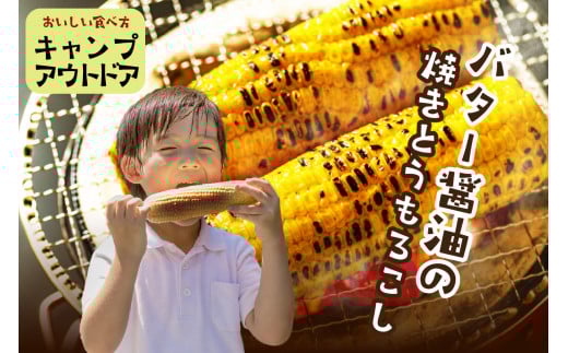 【先行予約】 生食も！高糖度！もぎたて！ フルーツトウモロコシ「ホワイトコーン」（2026年6月下旬～発送） DE00134