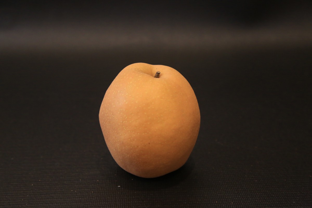 【先行予約／数量限定200】農家直送 秋の王様 「王秋」5kg（概ね7玉～12玉）（2026年11月上旬～発送）　DE00169