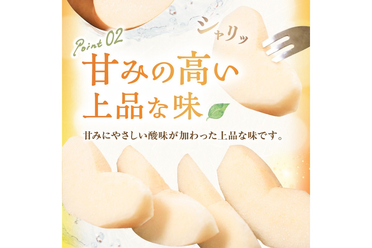 【先行予約／数量限定200】農家直送 秋の王様 「王秋」5kg（概ね7玉～12玉）（2026年11月上旬～発送）　DE00169