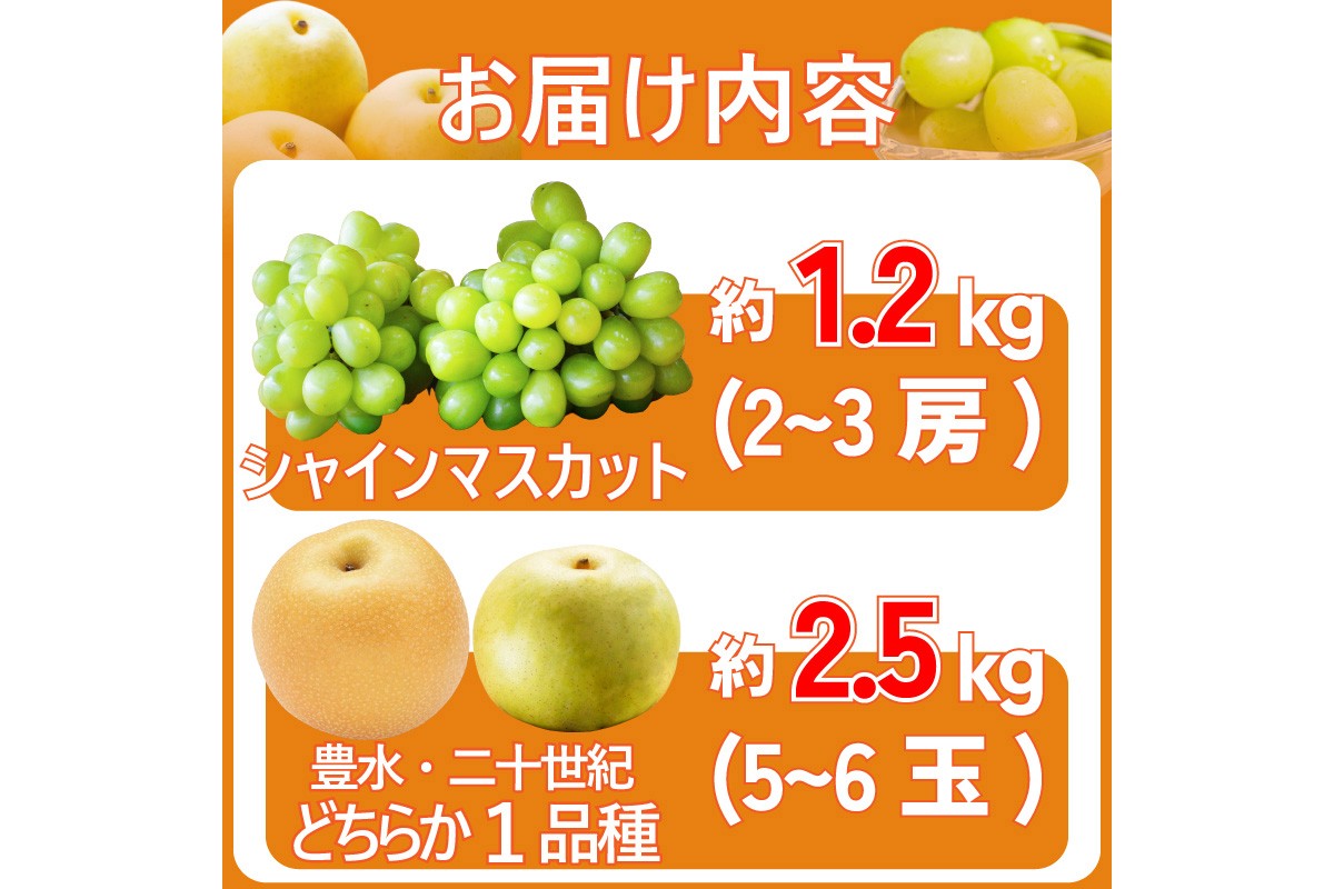 田園紳士厳選 シャインマスカット・梨セット　DE00142