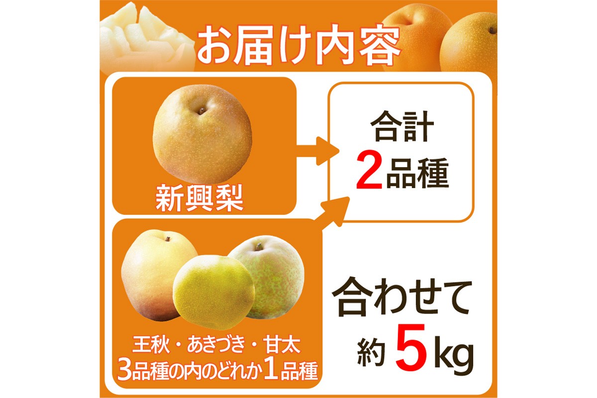 田園紳士厳選「梨好きさんのための梨セット」新興梨ともう1品種の計2品種セット　DE00173