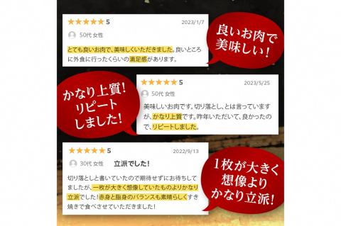 牛肉切り落とし／京都産和牛「切り落とし」約500ｇ【京都モリタ屋専用牧場】 和牛切り落とし・ 切り落とし和牛・切り落とし牛・切り落とし肉　MO00001
