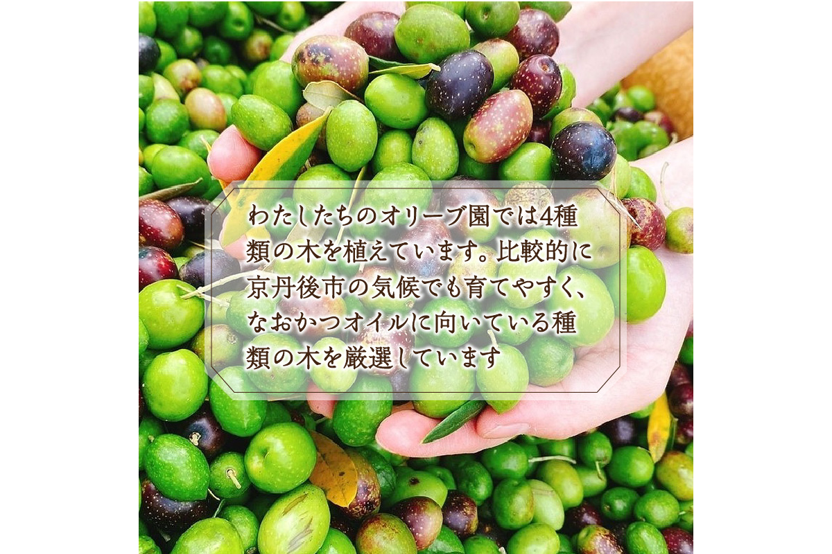 国産100％　『太陽と雪のオリーブ』 KANDAN エキストラバージンオリーブオイル　180ｇ　京丹後産100％　DZ00009