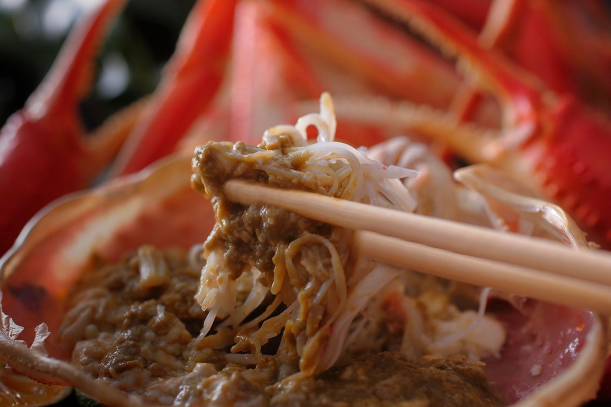 【創業明治元年　間人 炭平旅館の味】はしうど蟹　800g級　茹で蟹　並1杯　[料亭捌き済]【2026年発送】　SU00022