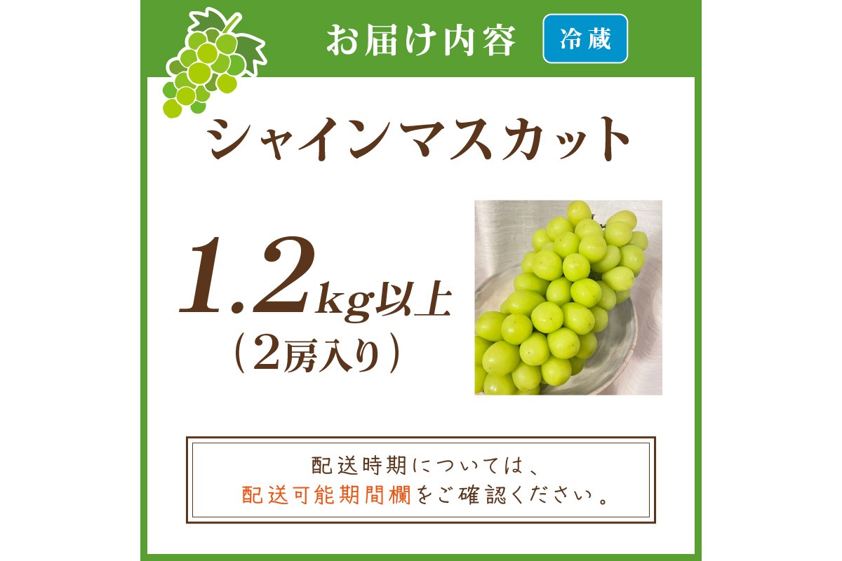 【先行予約／数量限定100】シャインマスカット 1.2kg以上（2房入り）（2026年9月上旬～発送）　FK00017