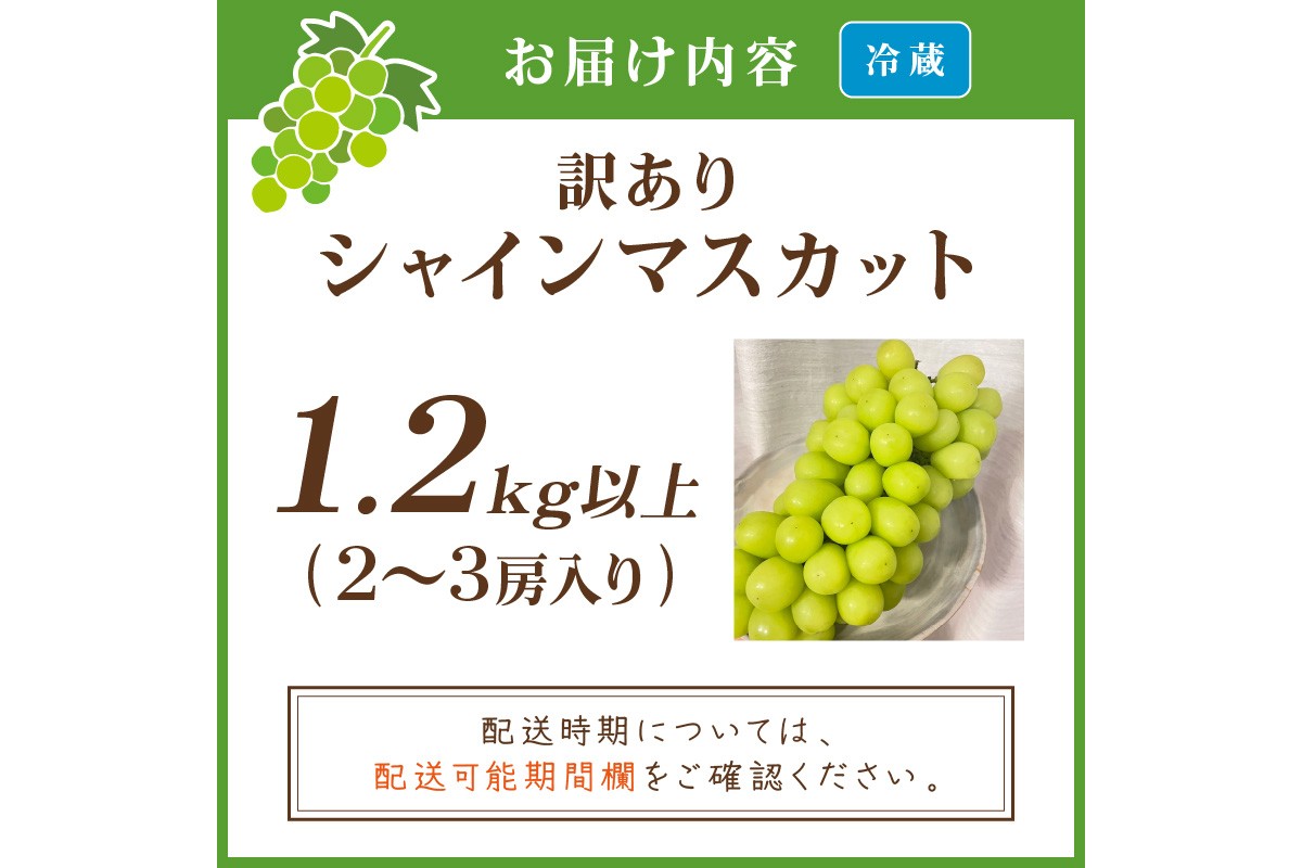 【先行予約／数量限定100】訳ありシャインマスカット 1.2kg以上（2～3房入り）（2026年9月上旬～発送）　FK00022