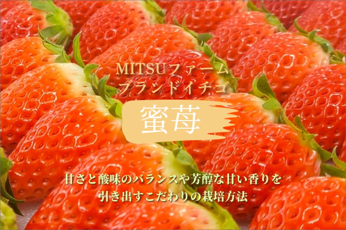 京都　冷凍いちご（あきひめ）約2kg　FM00009