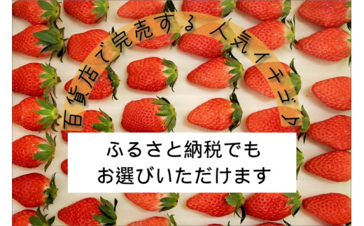 【先行予約】2026年産 京都 蜜いちご（あきひめ）（大サイズ（12粒）×1箱）約600g（2026年1月上旬～発送）　FM00012