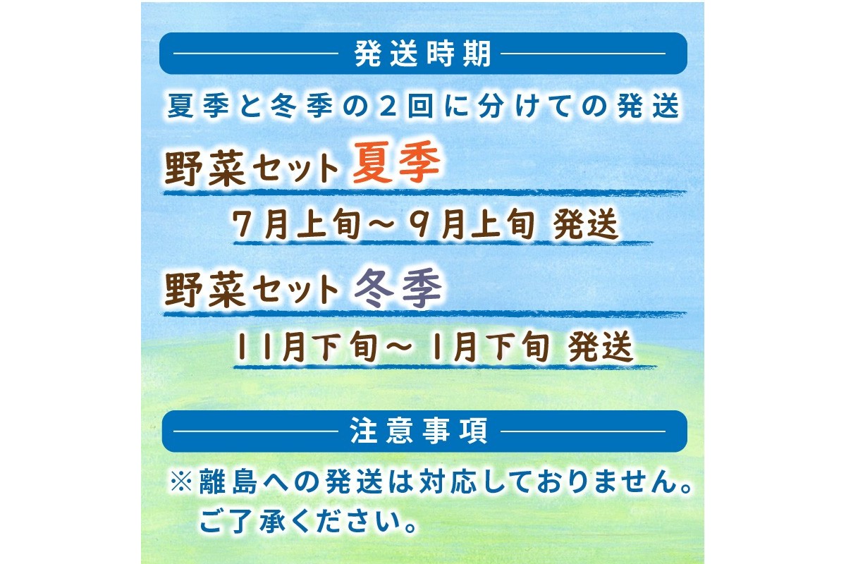 SORA農園有機野菜セット年2回（夏季・冬季）お届け　SN00004