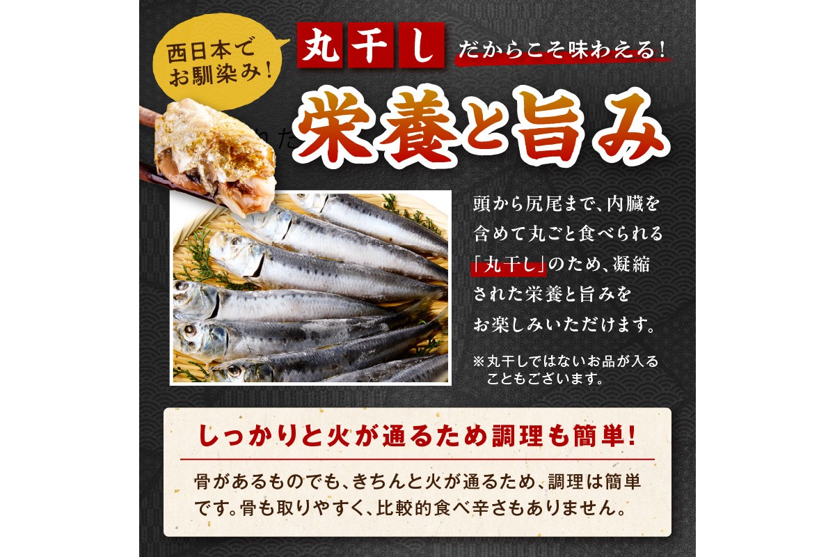 <定期便・3ヶ月>京丹後の地元魚屋が作ったお任せ干物セット（冷凍）　FS00027