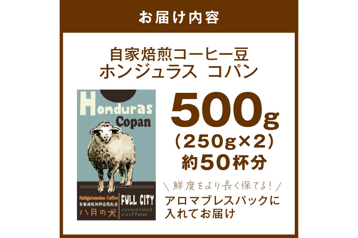 【栽培期間中農薬不使用】自家焙煎コーヒー豆 ホンジュラス　コパン 500g（250g×2） 約50杯分 小分け　豆・粉 選べる　HA00025