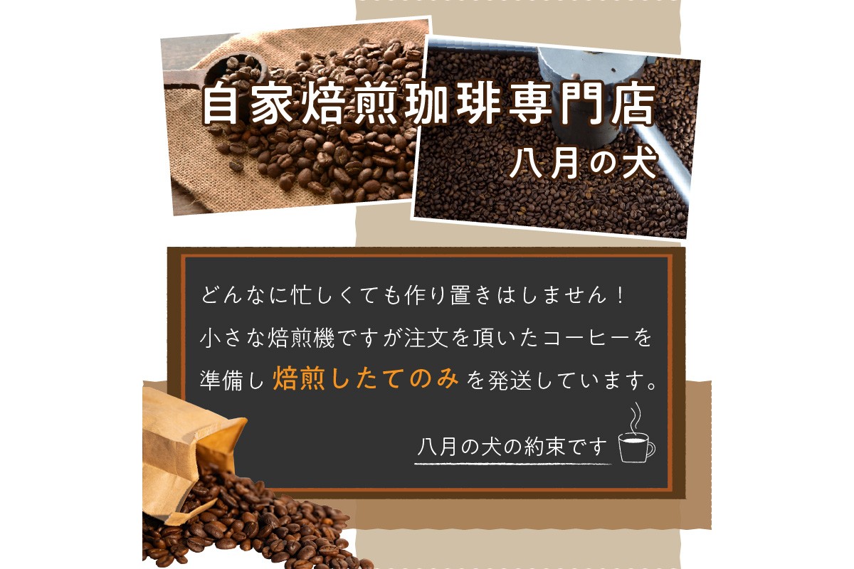 【栽培期間中農薬不使用】自家焙煎コーヒー豆 ホンジュラス　コパン 500g（250g×2） 約50杯分 小分け　豆・粉 選べる 飲料 珈琲 こーひー コーヒー coffee　HA00025