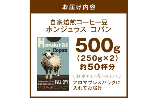 【栽培期間中農薬不使用】自家焙煎コーヒー豆 ホンジュラス　コパン 500g（250g×2） 約50杯分 小分け　豆・粉 選べる 飲料 珈琲 こーひー コーヒー coffee　HA00025