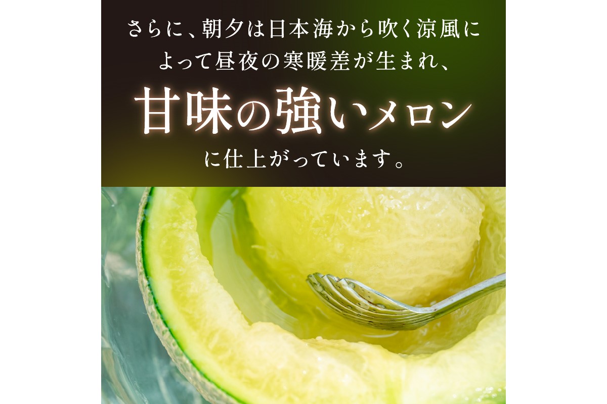 【先行予約／数量限定450】京丹後産 砂丘メロン 大玉2L以上 2玉（2026年7月下旬～発送）　HF00012