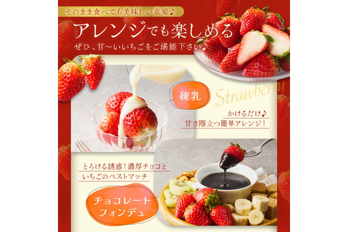 【京丹後産いちご章姫】農園直送便！新鮮大粒いちご 2パック ギフト箱入り／北畿水産 国産 大粒 あきひめ 甘い やわらかい ふるさと納税 いちご イチゴ 苺 先行予約 期間限定 くだもの 果物 先行申込 ストロベリー ギフト 送料無料　HK00159