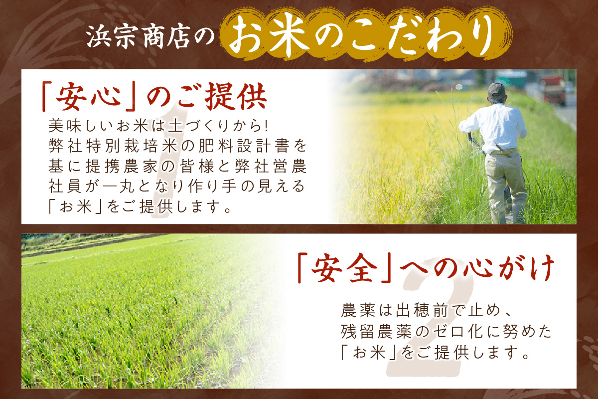 京都・丹後コシヒカリ 無洗米 10kg（5kg×2袋）米 お米 コシヒカリ ふるさと納税 無洗米 ふるさと納税 米 ふるさと納税 お米 ふるさと納税 コシヒカリ 農家応援 生産者応援 送料無料　HM00011S