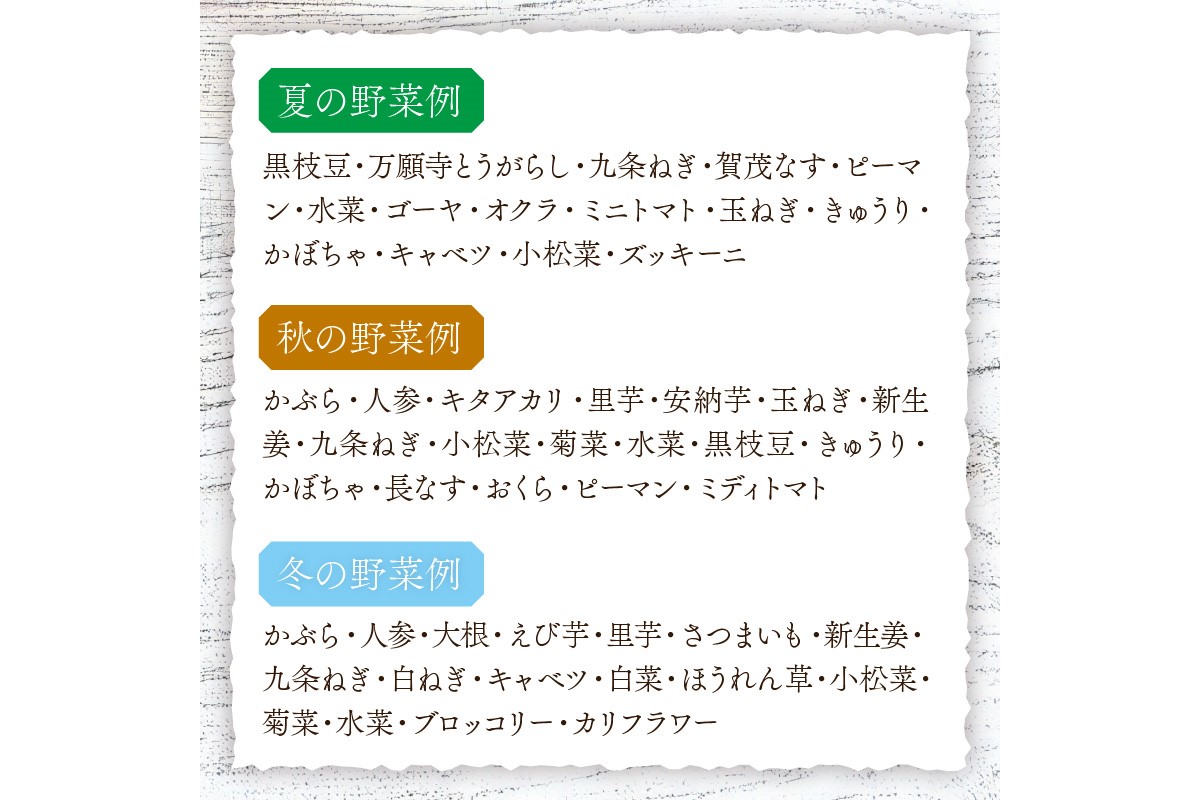 直売所直送 「京都・京丹後産 季節の野菜」お任せ詰め合わせBOX（5品） 春夏秋冬定期便4回 コシヒカリ精米 京野菜 季節 新鮮 ふるさと納税 野菜　JA00068