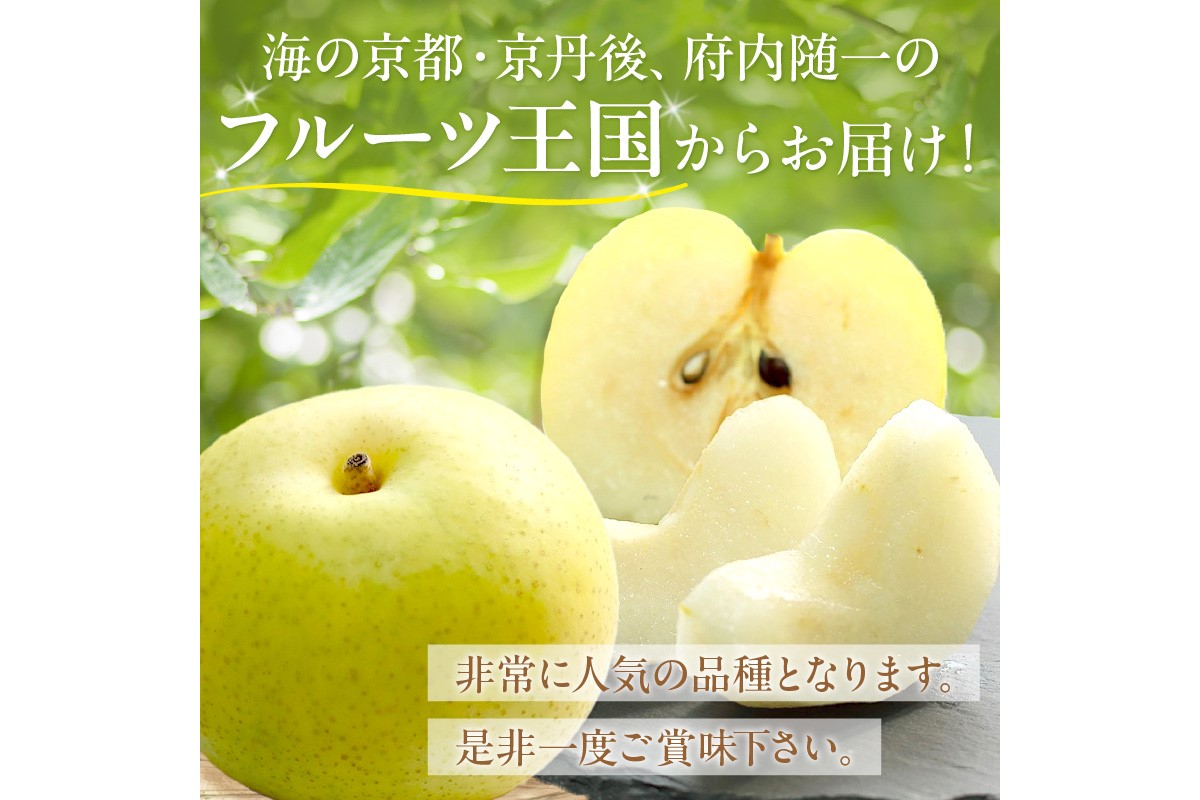【先行予約／数量限定150】京丹後産 20世紀梨 5kg（12～16玉入り）（2026年9月上旬～発送）　JA00075