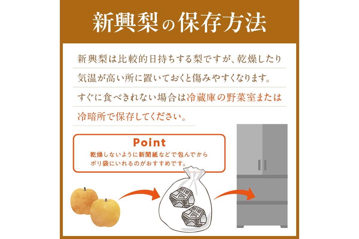 【先行予約／数量限定150】京丹後産 新興梨 5kg（8～14玉入り）（2026年10月中旬～発送）　JA00080