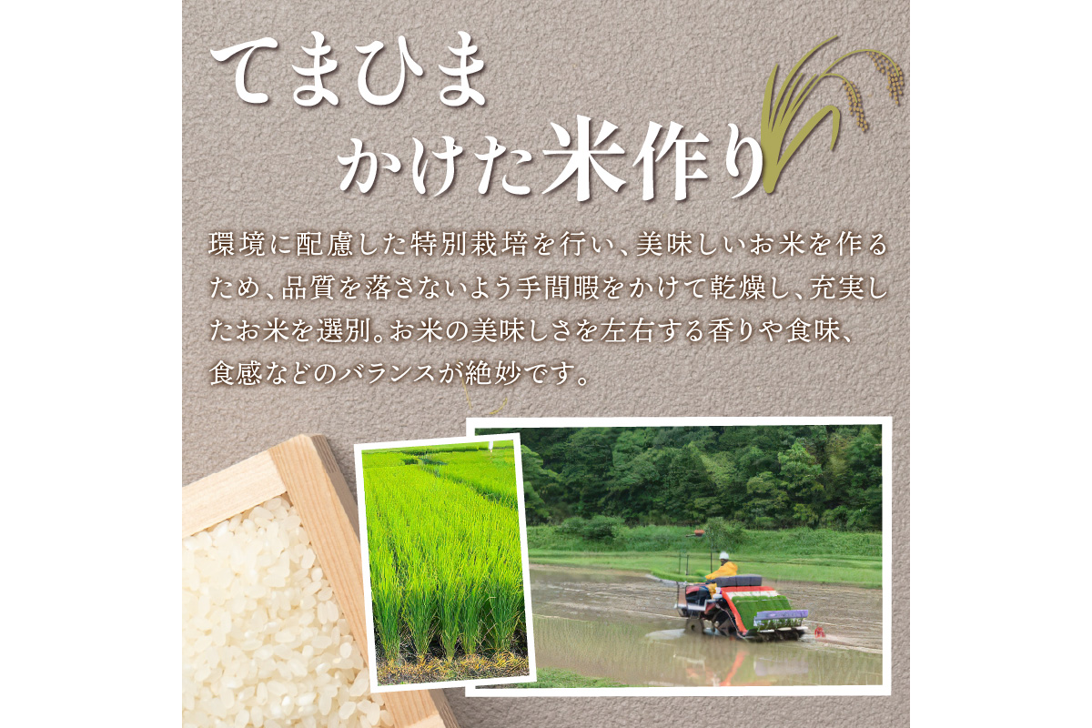 直売所直送「令和5年産　京丹後市産　京式部　特別栽培米」　精米2kg×2袋　JA00056