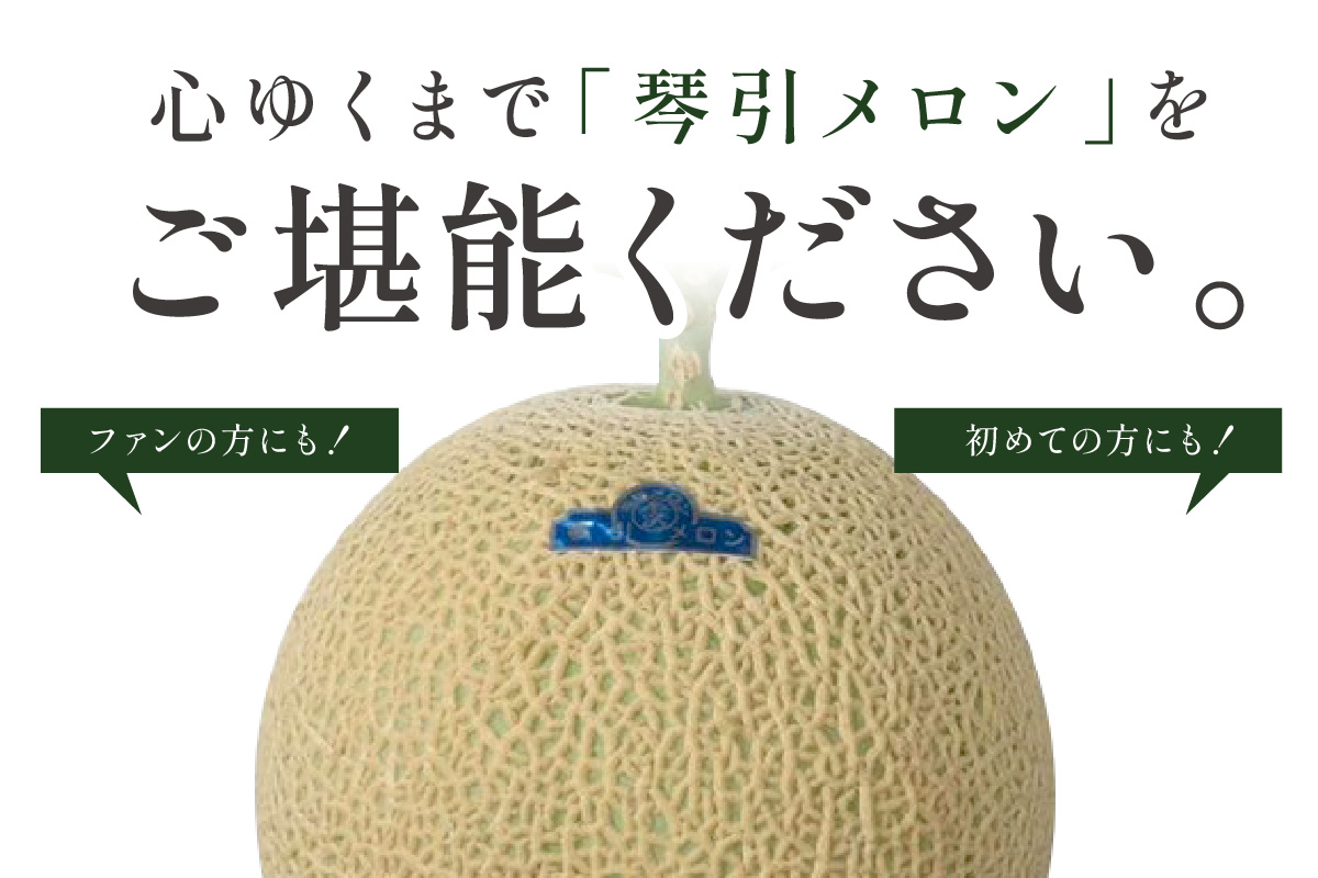 【先行予約／数量限定950】京のブランド産品 京たんごメロン 琴引メロン LAサイズ 1玉（2026年6月下旬～発送）　JK00023