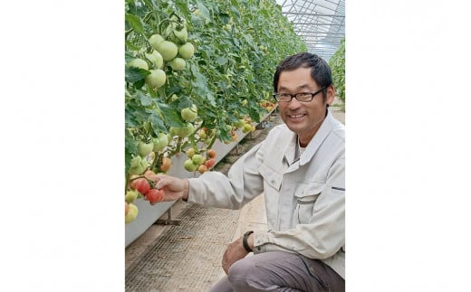 【先行予約】京丹後産・京トマト 2kg（8～10玉） 春夏発送（2026年5月中旬～発送）　JK00033